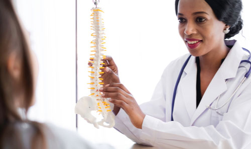 Deerfield Beach chiropractic adjustments concept, chiropractor with model of spine